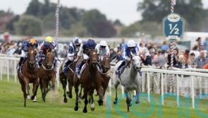 America Queen and Royal Fixation on course for Cheveley Park rematch