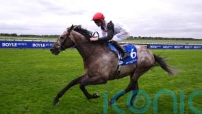 Lion&rsquo;s Pride produces 20-1 surprise in Godolphin Stakes