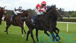 Donnacha O&rsquo;Brien confident Happy Pharoah can shine in Irish Cesarewitch