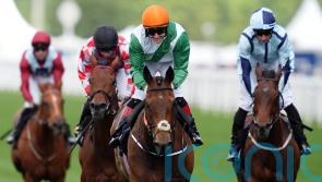 Crystal Black confirmed for Cumberland challenge