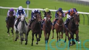 Breeders&rsquo; Cup emerges as possibility for Havana Anna