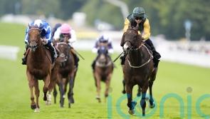 Witness Stand and Hollie Doyle ready to take Foret plunge