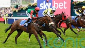 Dods back for York finale with his sprinting aces