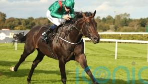 Alakazi poised to make Group One leap at Ascot