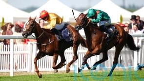 Cercene to return next year as Breeders&rsquo; Cup bid ruled out