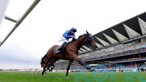 Trawlerman scoops Long Distance Cup honours