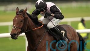 French Dynamite too strong for Munster National rivals