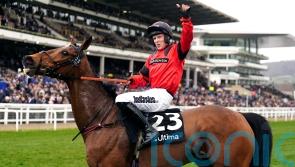 Festival hero Myretown has Newbury aim