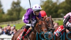 Murray preparing to unleash classy Breeders&rsquo; Cup pair