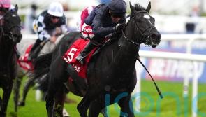 Saint-Cloud prizes could put O&rsquo;Brien on verge of new record