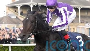 Hawk Mountain leads home Futurity one-two-three for O&rsquo;Brien