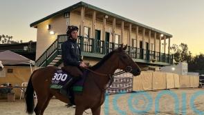 Rossa Ryan looking to Amiloc for Turf triumph