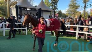 Maranoa Charlie set for stallion career after racing retirement