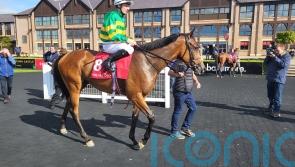 Connections looking forward to next season with Goodie Two Shoes