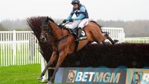 Thistle Ask has all the answers in Haldon Gold Cup