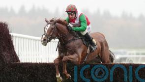 Doyen Quest could have booked Newbury ticket with Exeter win