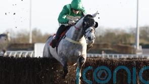 Bad news would be good for Pauling at Cheltenham
