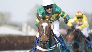Jonbon targets record third Shloer win
