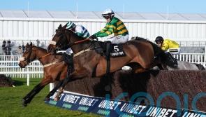 Ground conditions put paid to Jagwar&rsquo;s Cheltenham bid