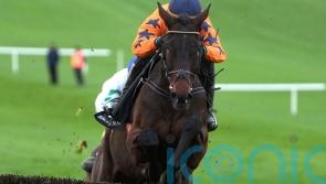 &lsquo;Fantastic&rsquo; Final Demand looks the part on fencing bow at Navan