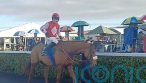 Mustard too strong for Lismullen rivals