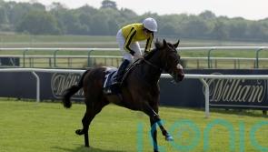 Owen to hunt better ground for Ambiente Friendly