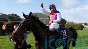 Haiti Couleurs stepping up for Betfair Chase challenge