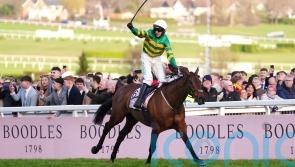 Inothewayurthinkin satisfies Cromwell with Punchestown return