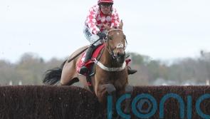 Nicky Henderson relishing King George test with Jango Baie