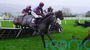 No Drama This End set to chart direct path to Challow