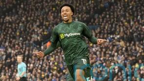 Millwall return to winning ways with narrow victory over Sheffield Wednesday