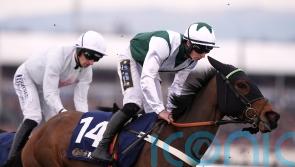 Panther hunting Grade One glory at Leopardstown