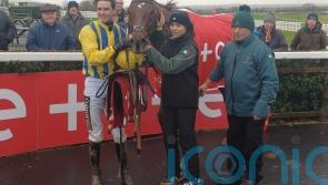 Doctor Steinberg leads Navan hat-trick for Mullins team
