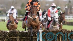 Diva Luna primed for next step on the road to Cheltenham