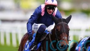 Kopek Des Bordes will miss festive outing at Leopardstown