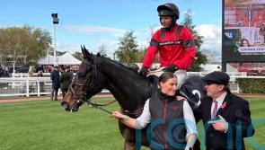 Conman looking to get the money at Cheltenham