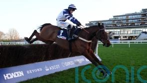 Steel Ally shines brightest in Noel test