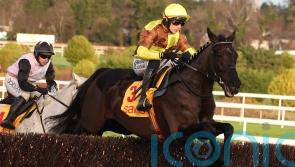 Mullins expects Galopin improvement in Irish Gold Cup