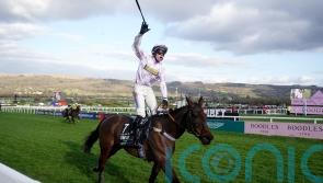 Kingwell Hurdle a possibility for Golden Ace