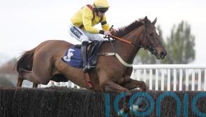 Parkinson eyeing Peter Marsh run for Konfusion