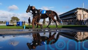 Warwick call inspection ahead of Saturday card