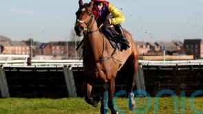 Sober Glory back in business with Newbury strike