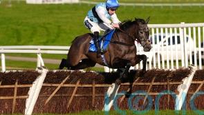 Tenter Le Tout to try Triumph company at Cheltenham