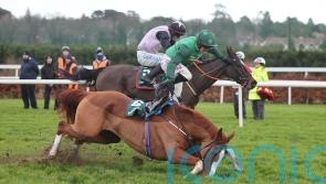 Talk The Talk bidding to bounce back on Sunday