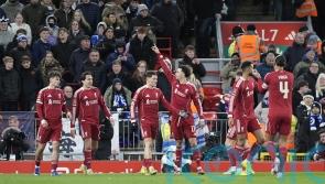 Liverpool cruise into FA Cup fifth round after easing past Brighton at Anfield