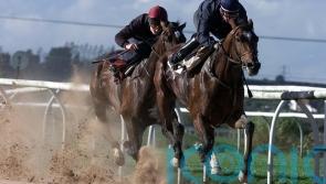 Constitution Hill only the latest racing great to grace Southwell