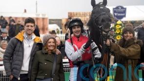 Racecourse gallop planned for Triumph contender Minella Study