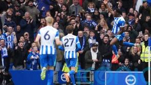 Danny Welbeck hits Brighton winner to keep Nottingham Forest in relegation mire