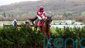 Favori De Champdou might have dented Festival chance in Trials day win