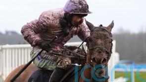 Wreckless Eric on retrieval mission in Imperial Cup